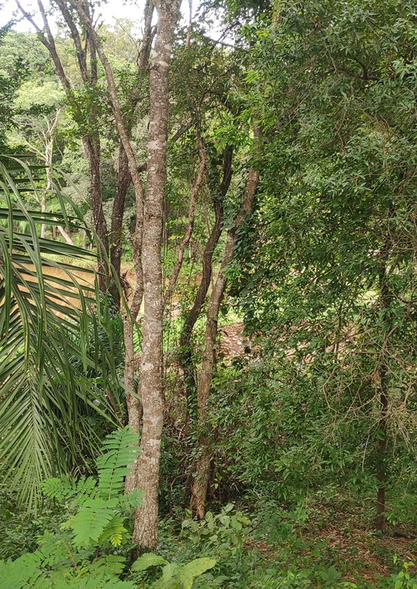 IMG_20220505_140642_1dsf